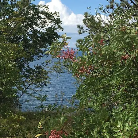 A Borgo Castello , Tra Il Golfo Ed Il Carso Di Trieste *